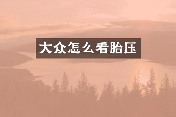 大众怎么看胎压