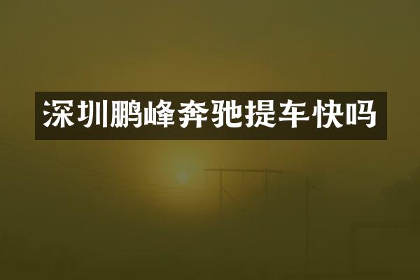 深圳鹏峰奔驰提车快吗