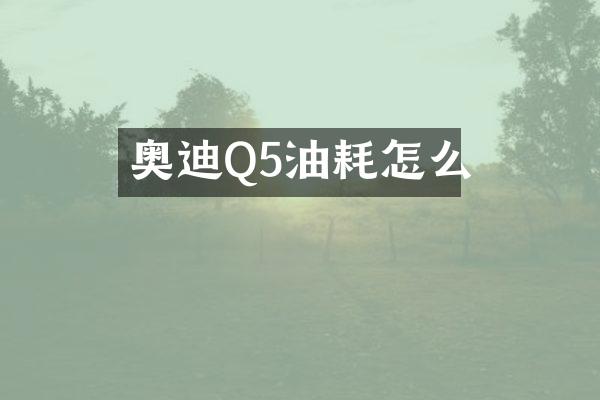 奥迪Q5油耗怎么