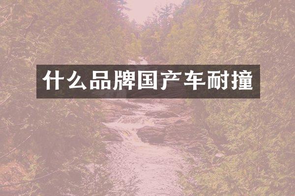 什么品牌国产车耐撞