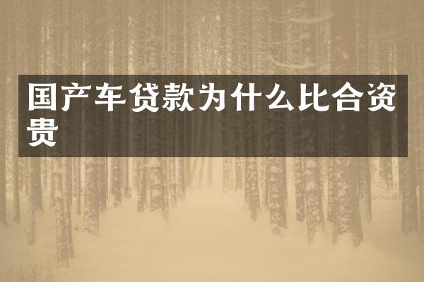 国产车贷款为什么比合资贵