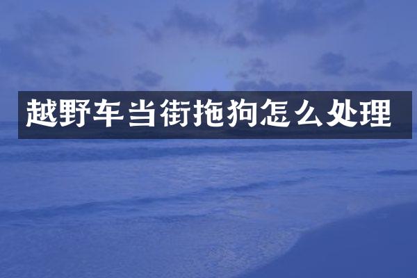 越野车当街拖狗怎么处理