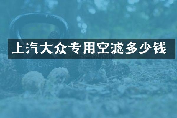 上汽大众专用空滤多少钱