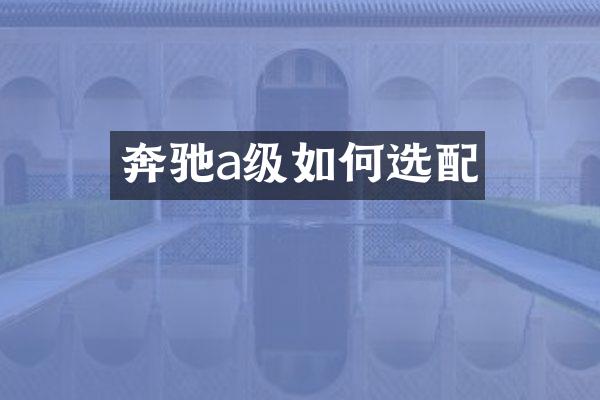 奔驰a级如何选配
