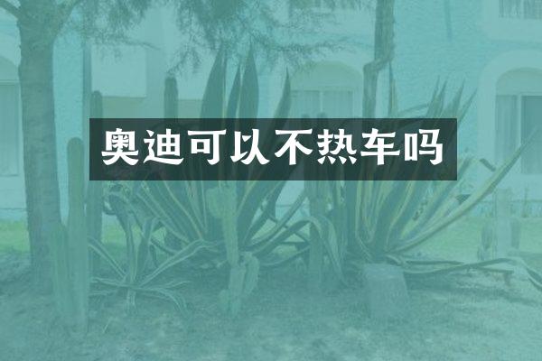 奥迪可以不热车吗