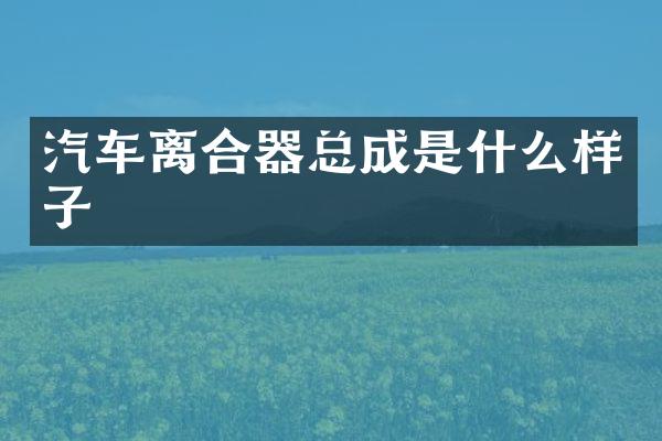 汽车离合器总成是什么样子