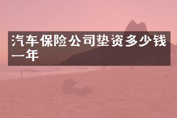 汽车保险公司垫资多少钱一年
