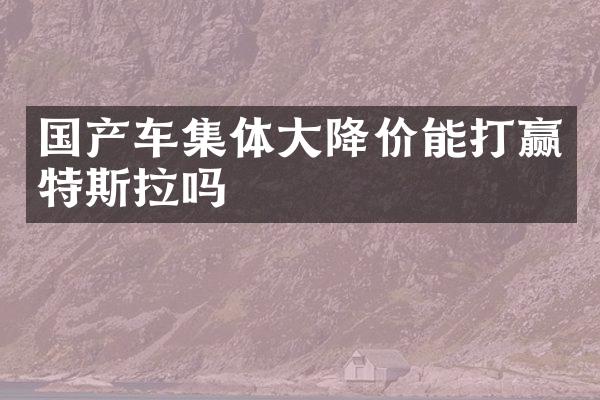 国产车集体大降价能打赢特斯拉吗