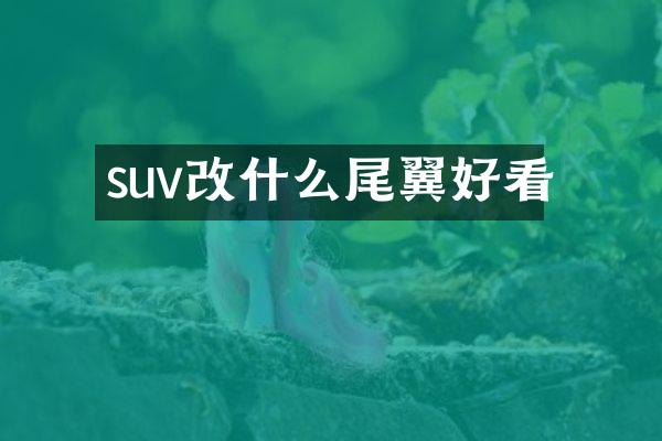 suv改什么尾翼好看
