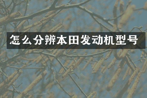 怎么分辨本田发动机型号