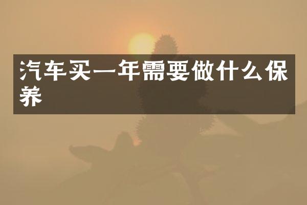 汽车买一年需要做什么保养