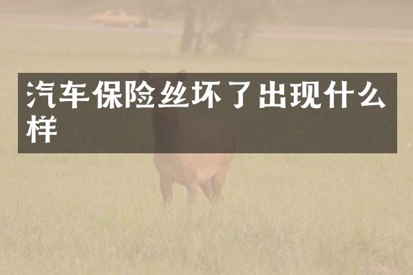 汽车保险丝坏了出现什么样