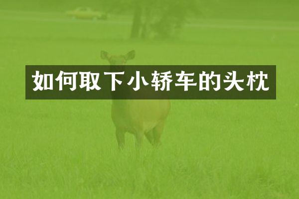 如何取下小轿车的头枕