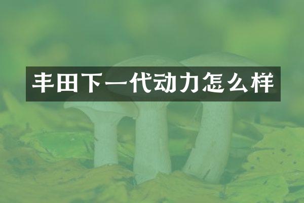 丰田下一代动力怎么样
