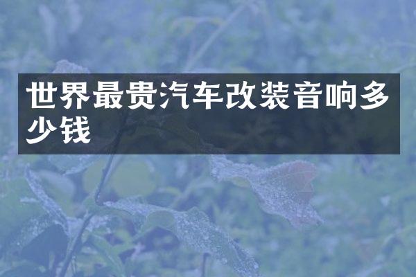 世界最贵汽车改装音响多少钱
