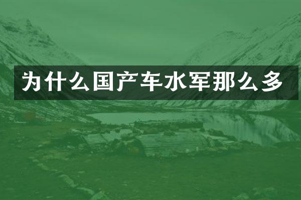 为什么国产车那么多
