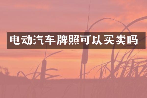 电动汽车牌照可以买卖吗