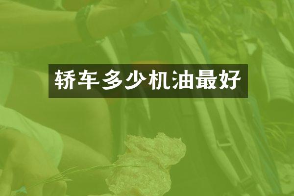 轿车多少机油最好