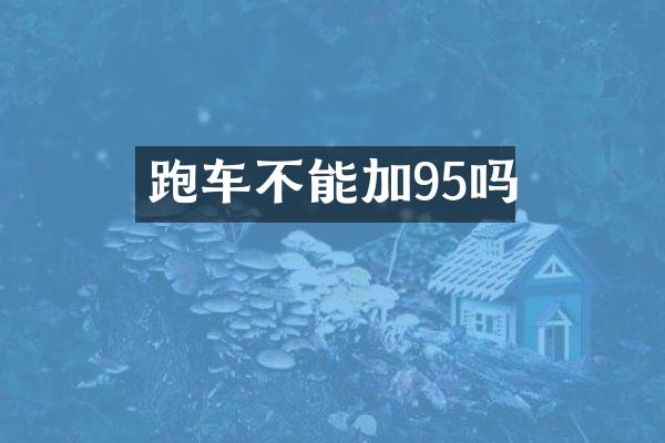 跑车不能加95吗