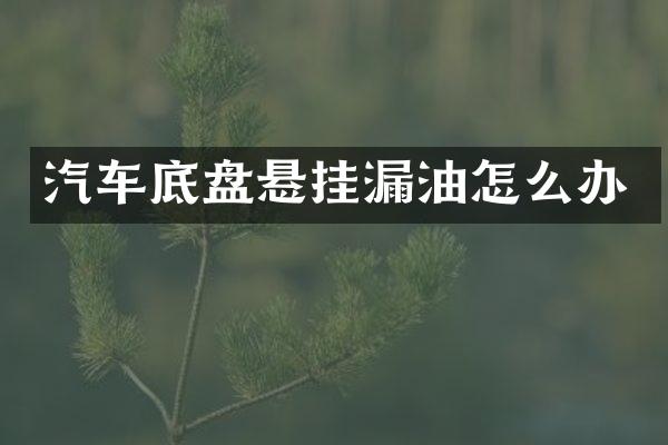 汽车底盘悬挂漏油怎么办
