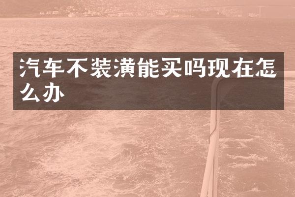 汽车不装潢能买吗现在怎么办