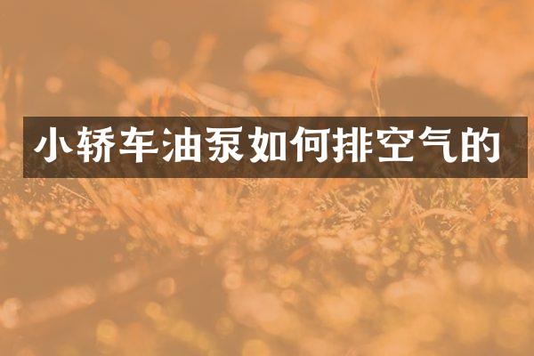 小轿车油泵如何排空气的