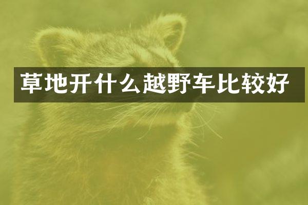 草地开什么越野车比较好