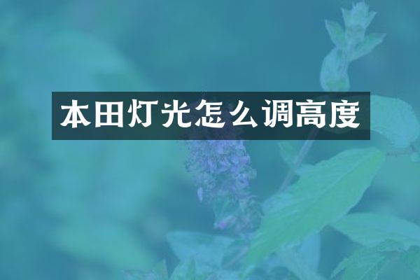 本田灯光怎么调高度