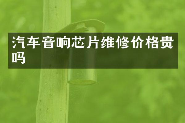 汽车音响芯片维修价格贵吗