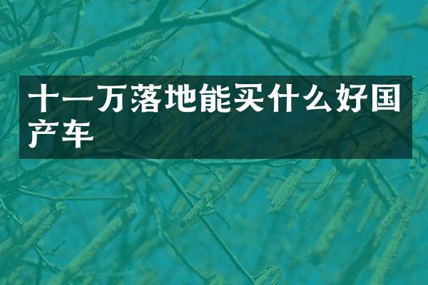十一万落地能好国产车