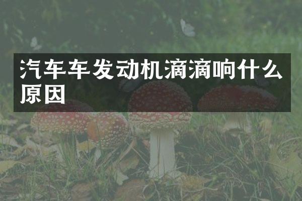 汽车车发动机滴滴响什么原因