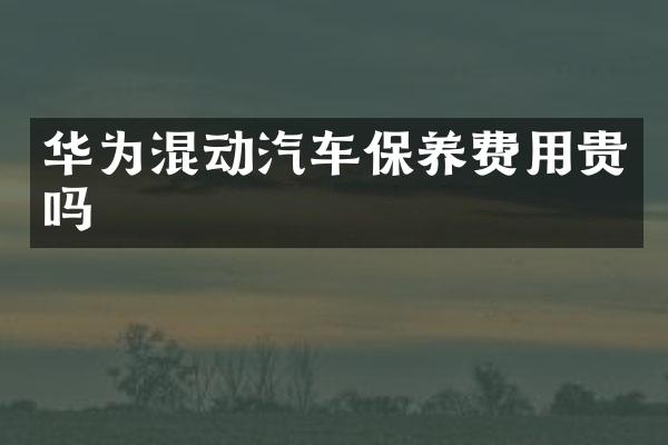 华为混动汽车保养费用贵吗
