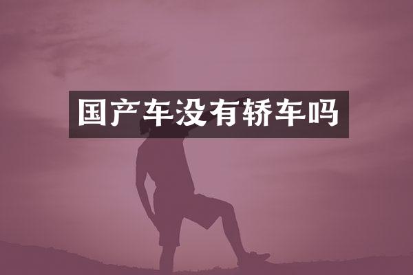 国产车没有轿车吗