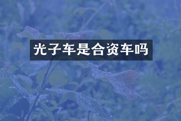光子车是合资车吗