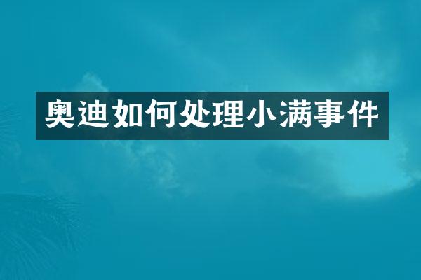奥迪如何处理小满事件