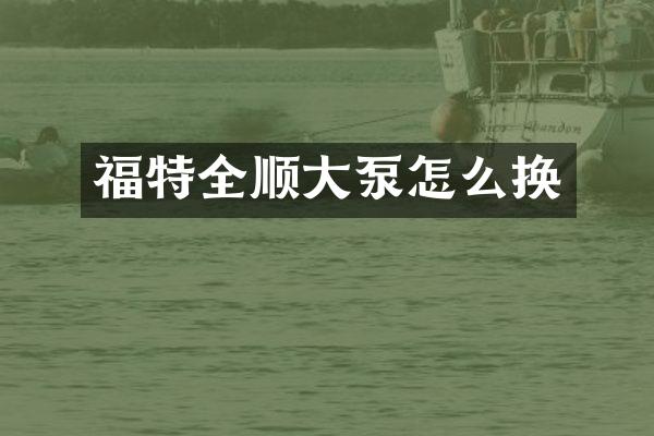 福特全顺大泵怎么换