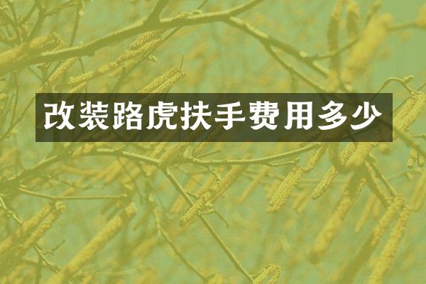 改装路虎扶手费用多少