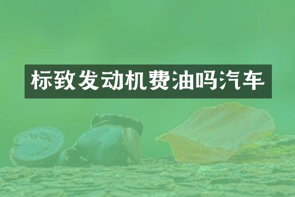 标致发动机费油吗汽车