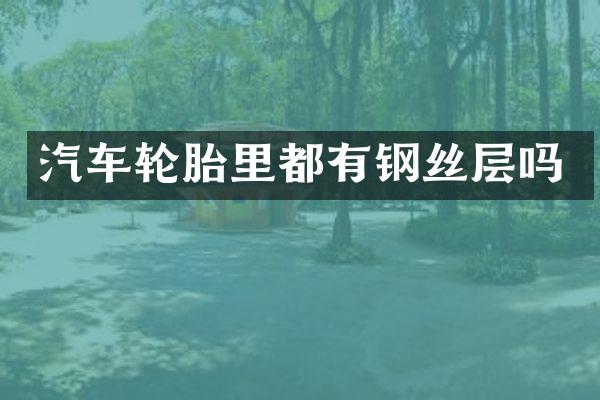 汽车轮胎里都有钢丝层吗