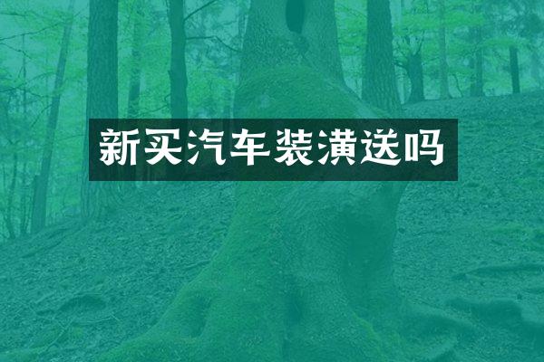 新买汽车装潢送吗