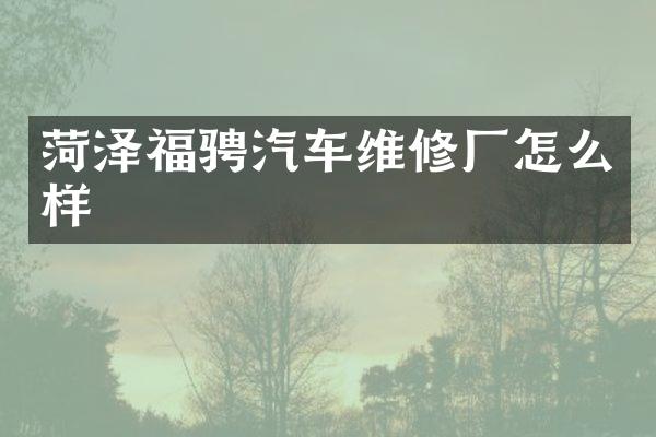 菏泽福骋汽车维修厂怎么样