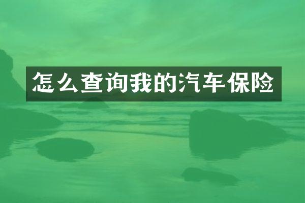 怎么查询我的汽车保险