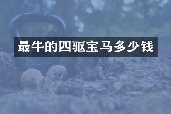最牛的四驱宝马多少钱