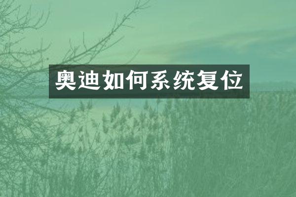 奥迪如何系统复位