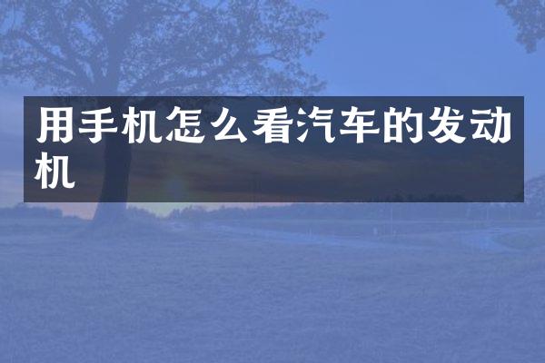 用手机怎么看汽车的发动机