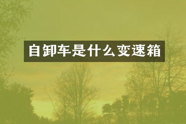 自卸车是什么变速箱
