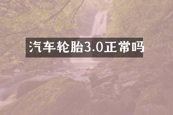 汽车轮胎3.0正常吗