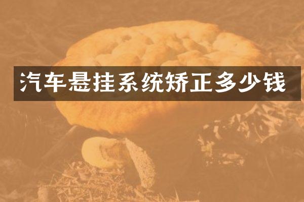 汽车悬挂系统矫正多少钱