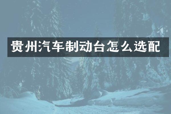 贵州汽车制动台怎么选配