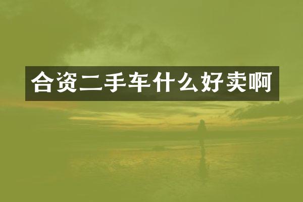 合资二手车什么好卖啊